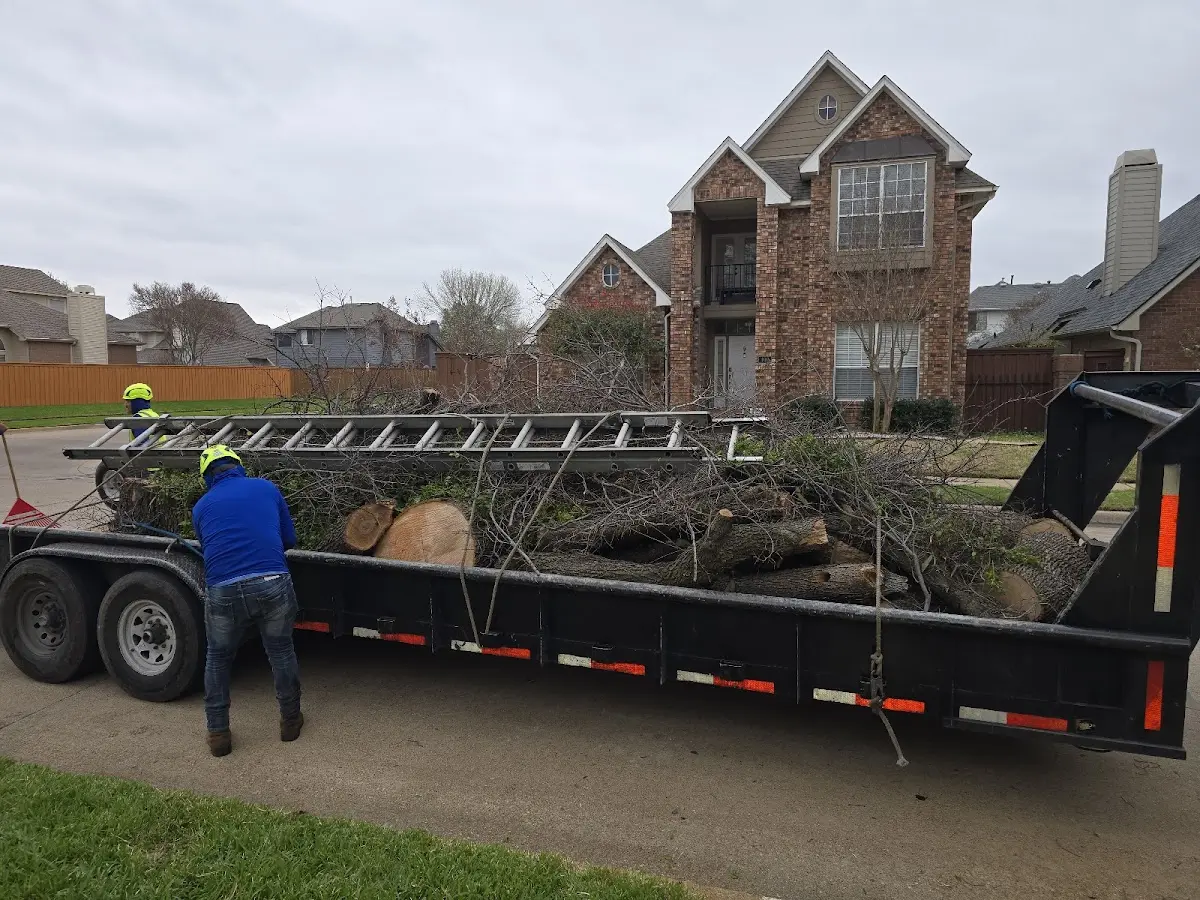 Expert Crown Reduction with proper safety equipment in Herndon